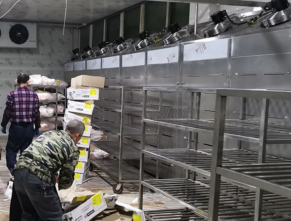 凍肉解凍機(jī)