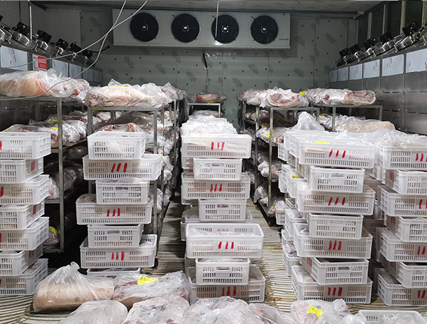 凍肉解凍機(jī)