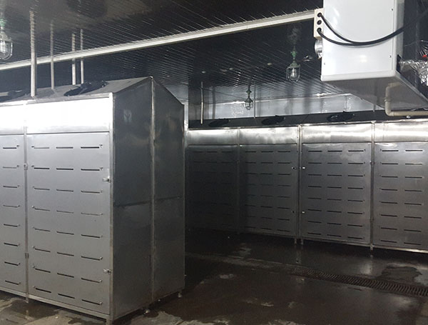 牛肉解凍機(jī)系列