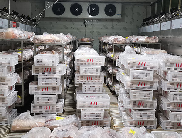 牛肉解凍機(jī)系列