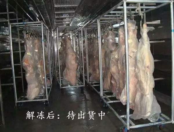 牛肉解凍機(jī)系列